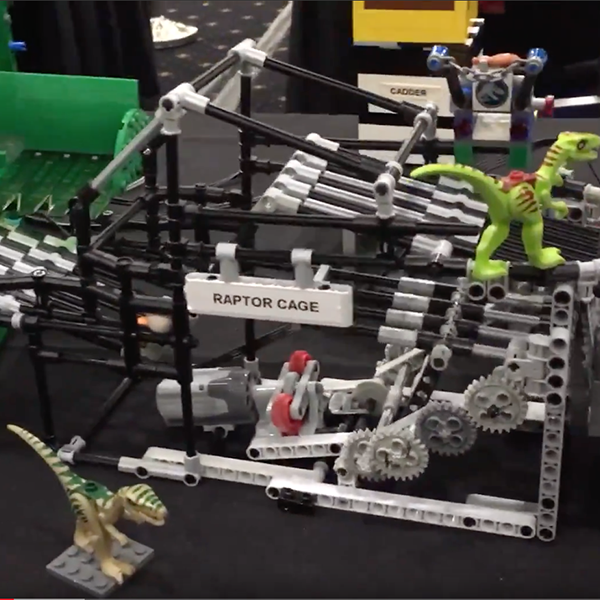 Raptor Cage